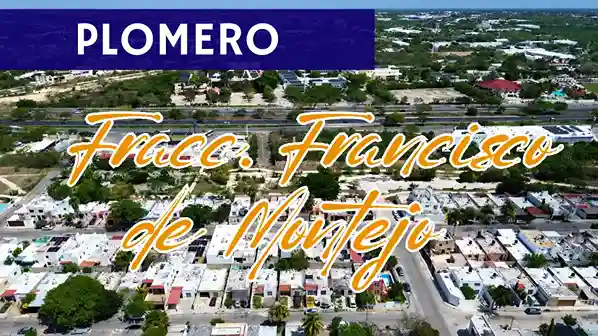 Lee más sobre el artículo Plomero en Francisco de Montejo